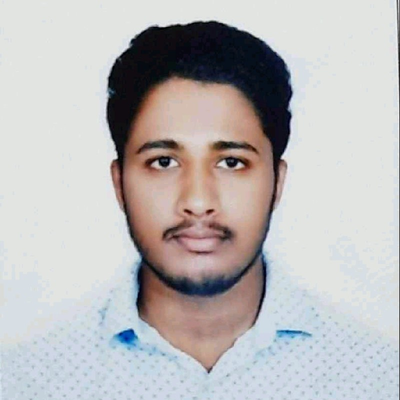 VLSI Developer